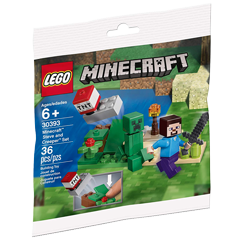 30393 Steve a Creeper Obrázek k setu 30393