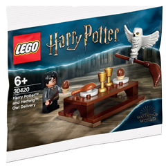 30420 Harry Potter™ a Hedvika: Nové koště Obrázek k setu 30420