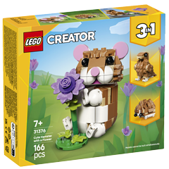 Obrázek k setu 31376