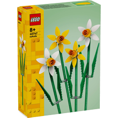 40747 Narcisy Obrázek k setu 40747
