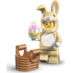 Obrázek k setu 71051010