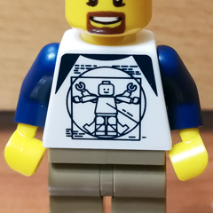 88607502 Torso Vitruvian Obrázek k setu 88607502
