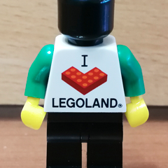 88607506 Torso Legoland Obrázek k setu 88607506