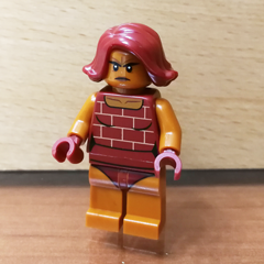 88904034 Brick Obrázek k setu 88904034
