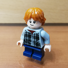 88904044 Ron Weasley Obrázek k setu 88904044