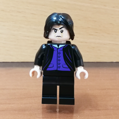 88908069 Severus Snape Obrázek k setu 88908069
