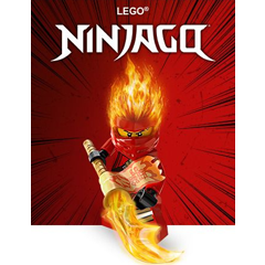 LEGO® NINJAGO™